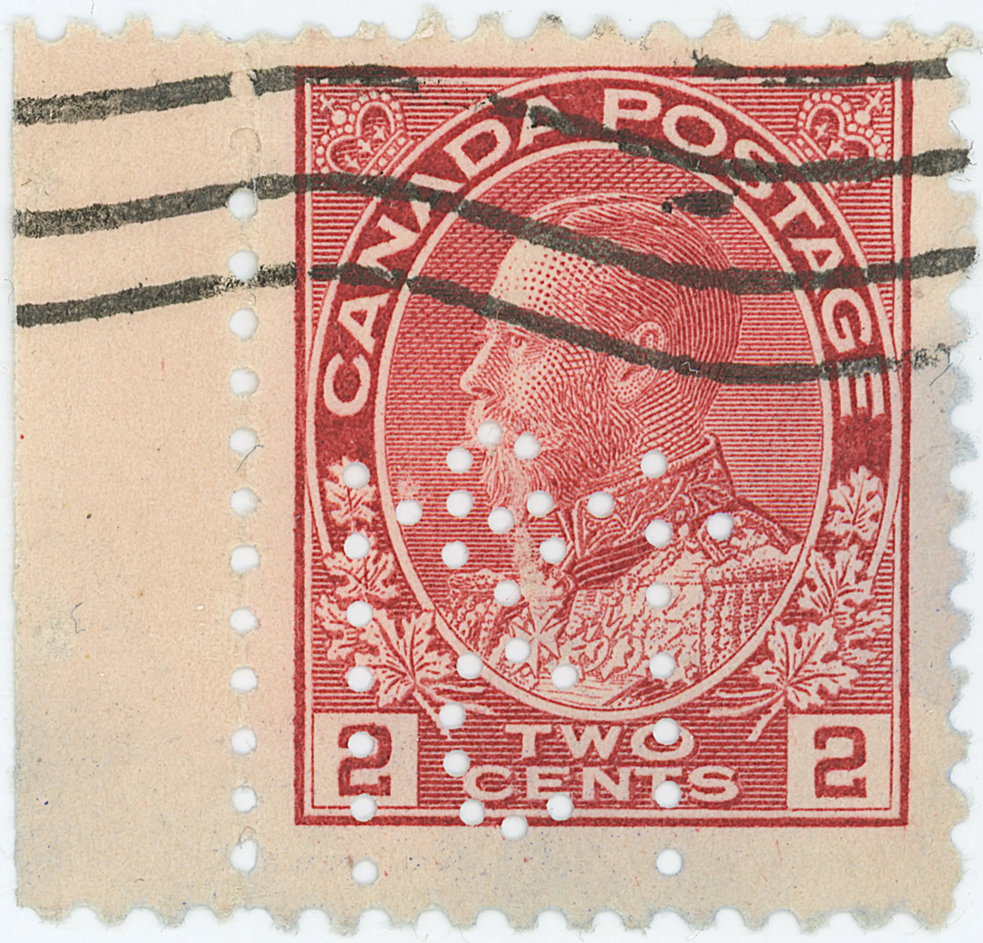 2¢C T Z6 FY full.webp